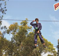 Adventure Parc at Currumbin Wildlife Sanctuary - Accommodation Sunshine Coast