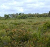 Pine Ridge Conservation Park - Accommodation Sunshine Coast