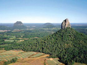 Mt Tibrogargan - Accommodation Sunshine Coast 0