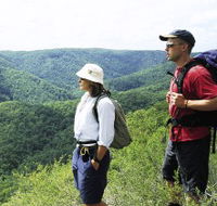 Sunshine Coast Hinterland Great Walk - Accommodation Sunshine Coast