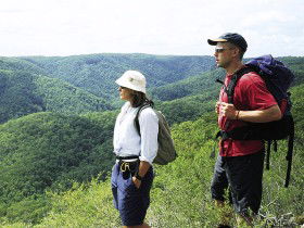 Sunshine Coast Hinterland Great! Walk - Accommodation Sunshine Coast 0