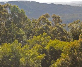 Conondale National Park - Accommodation Sunshine Coast 0
