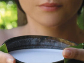 Doonan QLD Accommodation Sunshine Coast