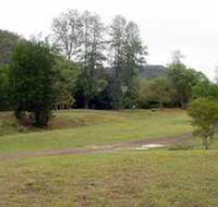 Brooyar State Forest - Accommodation Sunshine Coast