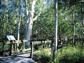 Kinaba Track - Accommodation Sunshine Coast 0