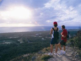 Mount Coolum National Park - Accommodation Sunshine Coast 0