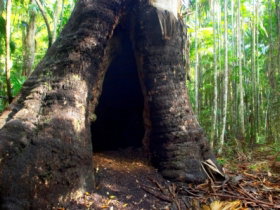 Tewantin National Park - Accommodation Sunshine Coast 0