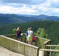 Kenilworth Forest Reserve - Accommodation Sunshine Coast