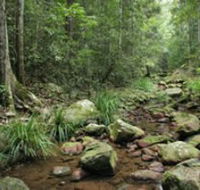Amamoor State Forest - Accommodation Sunshine Coast