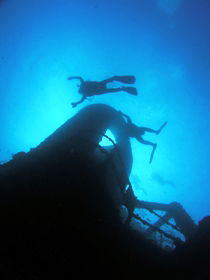 Ex HMAS Brisbane Dive Site - Accommodation Sunshine Coast 0