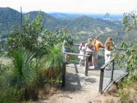 Mapleton Forest Reserve - Accommodation Sunshine Coast 0