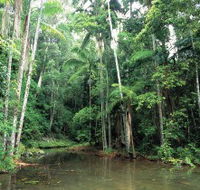 Mount Allan Trail - Accommodation Sunshine Coast