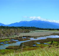Eubenangee Swamp National Park - Accommodation Sunshine Coast