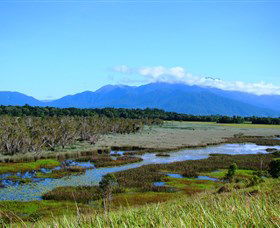 Eubenangee Swamp National Park - Accommodation Sunshine Coast 0
