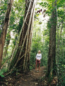 Wet Tropics - Accommodation Sunshine Coast 0