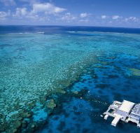 Agincourt Reef - Accommodation Sunshine Coast