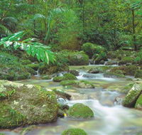 Mossman Gorge Daintree National Park - Accommodation Sunshine Coast