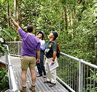Daintree Discovery Centre - Accommodation Sunshine Coast