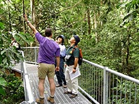 Daintree Discovery Centre - Accommodation Sunshine Coast 0