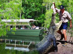 Hartleys Crocodile Adventures - Accommodation Sunshine Coast 0