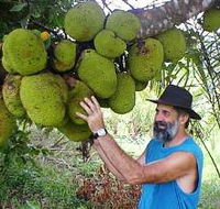 Cape Trib Exotic Fruit Farm - Accommodation Sunshine Coast