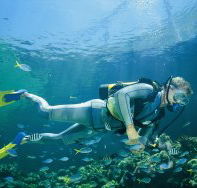 Tijou Reef - Accommodation Sunshine Coast