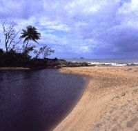 Russell River National Park - Accommodation Sunshine Coast