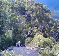Mia Mia State Forest - Accommodation Sunshine Coast