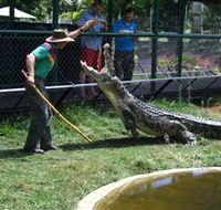 Snakes Downunder Reptile Park and Zoo - Accommodation Sunshine Coast