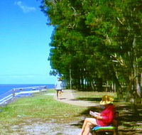 Melaleuca Track - Accommodation Sunshine Coast