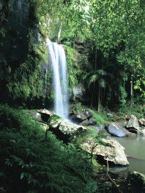 Curtis Falls, Joalah Section - Accommodation Sunshine Coast 0