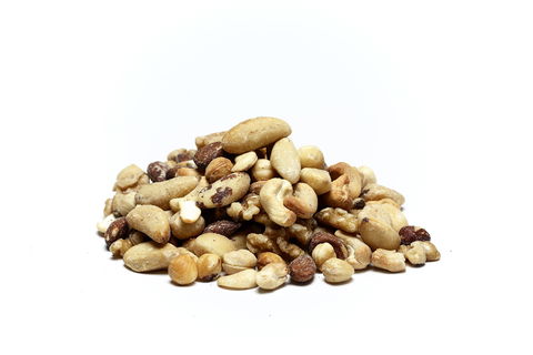 Nutworks - Accommodation Sunshine Coast 2