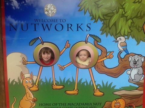 Nutworks - Accommodation Sunshine Coast 4