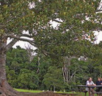 Ravensbourne National Park - Accommodation Sunshine Coast
