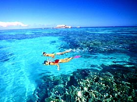 Great Barrier Reef Islands - Accommodation Sunshine Coast 0