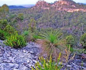 Broadmere QLD Accommodation Sunshine Coast