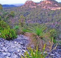 Isla Gorge National Park - Accommodation Sunshine Coast