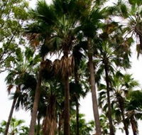 Palm Tree Creek - Accommodation Sunshine Coast