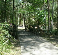 Cornubia Forest Park - Accommodation Sunshine Coast