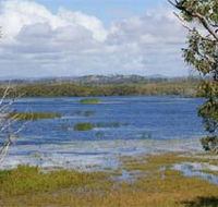Lake Barfield - Accommodation Sunshine Coast
