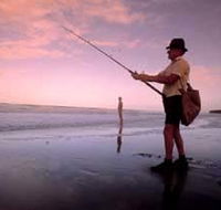 The Serenity Coast - Accommodation Sunshine Coast