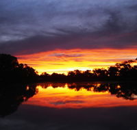 Thomson River - Accommodation Sunshine Coast
