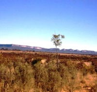 Tambos Wilderness Way - Accommodation Sunshine Coast