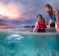 Tangalooma Island Resort - Accommodation Sunshine Coast