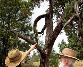 Charleville - Outback Native Timber Walk - Accommodation Sunshine Coast 0