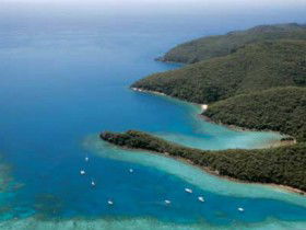 Butterfly Bay - Hook Island - Accommodation Sunshine Coast 0