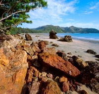 Diversity Boardwalk - Accommodation Sunshine Coast