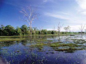 Tyto Wetlands - Accommodation Sunshine Coast 0