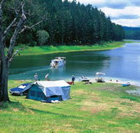 Danbulla National Park and Danbulla State Forest - Accommodation Sunshine Coast