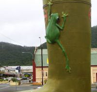 Golden Gumboot - Accommodation Sunshine Coast